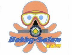 Trademark HOBBY-SELAM.COM + LOGO