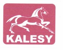 Trademark KALESY + LOGO