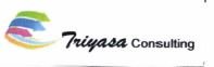 Trademark Triyasa Consulting + LOGO