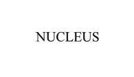 Trademark NUCLEUS