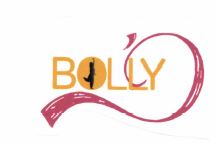 Trademark BOLLY'D + LOGO