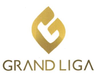 Trademark GRAND LIGA DAN LOGO