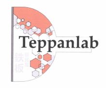 Trademark TEPPANLAB + LOGO