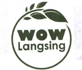 Trademark WOW LANGSING + LOGO