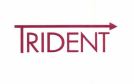 Trademark TRIDENT + LOGO