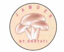 Trademark JAMOER NY. HARYATI + LOGO