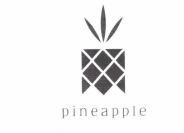 Trademark pineapple + logo