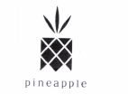 Trademark pineapple + logo