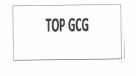 Trademark TOP GCG