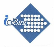 Trademark iBiru + Logo