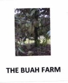 Trademark THE BUAH FARM + Logo