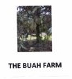 Trademark TIlE BUAH FARM +Logo