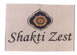 Trademark Shakti Zest + Logo