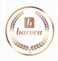 Trademark BARECA dan Lukisan