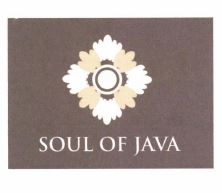 Trademark Soul of Java + Logo