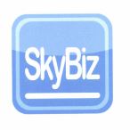 Trademark SKYBIZ + LOGO