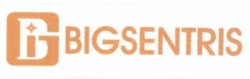 Trademark BIGSENTRIS + LOGO