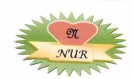 Trademark NUR + LOGO