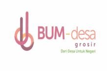 Trademark BUM-desagrosir + Logo