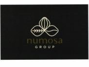 Trademark NUMOSA GROUP & Logo