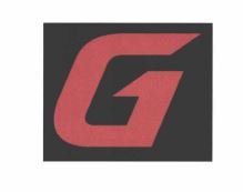 Trademark G logo