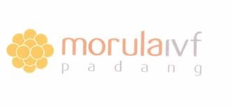 Trademark morulaivf padang + Logo