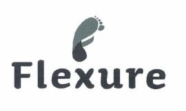 Trademark Flexure + Logo