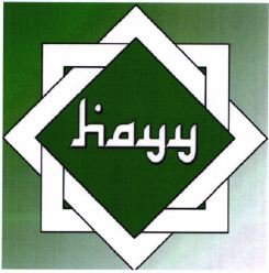 Trademark Hayy + Logo