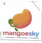 Trademark mangoesky + Logo