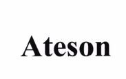 Trademark Ateson