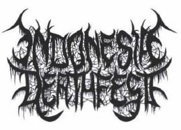 Trademark INDONESIA DEATH FEST