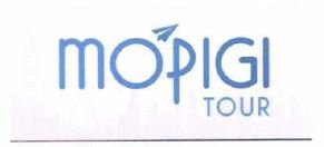 Trademark MOPIGI TOUR + Logo