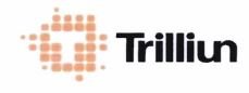 Trademark Logo + Trilliun