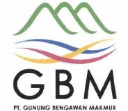 Trademark GBM + LOGO