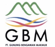 Trademark GBM + LOGO