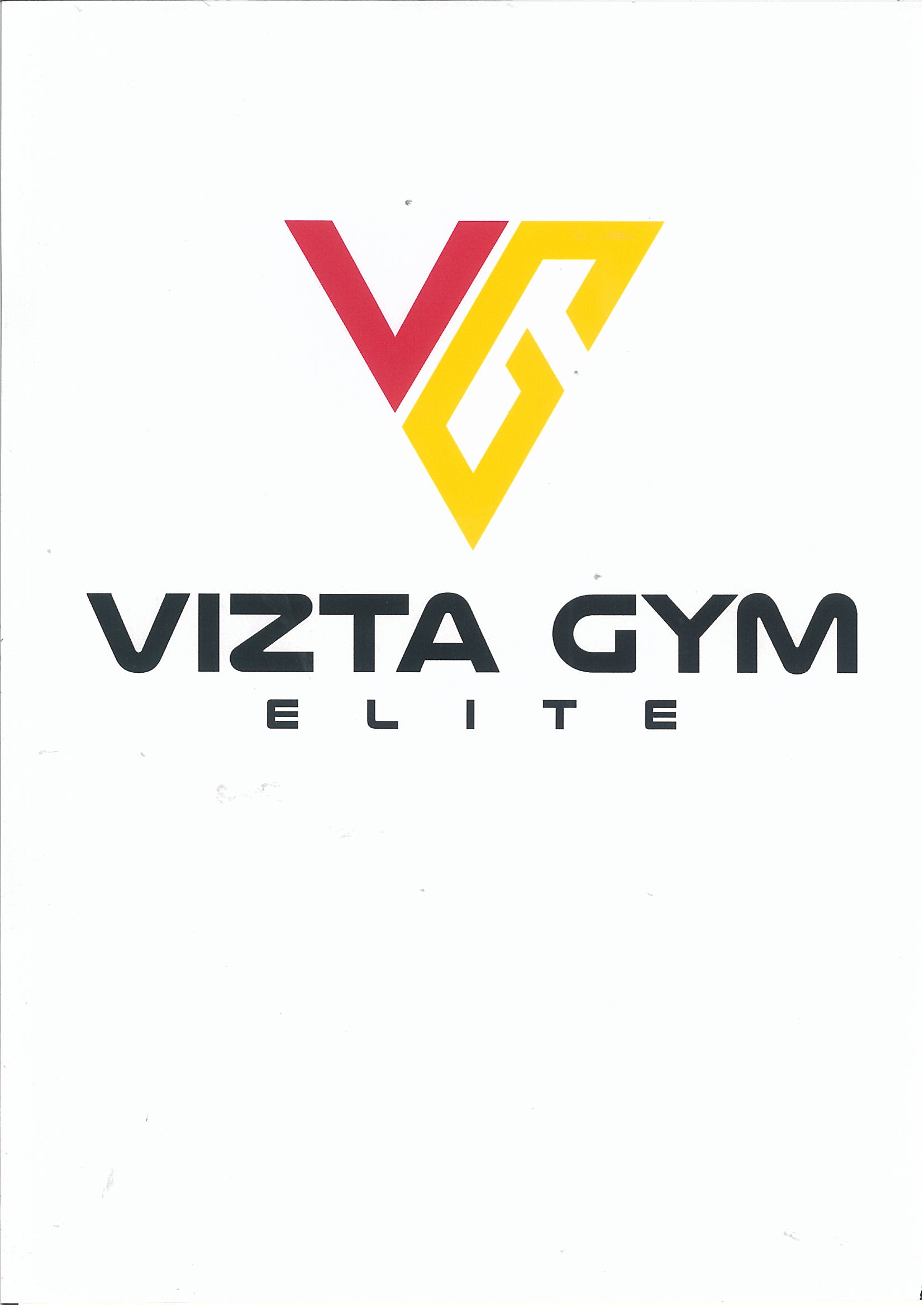 Trademark VIZTA GYM ELITE