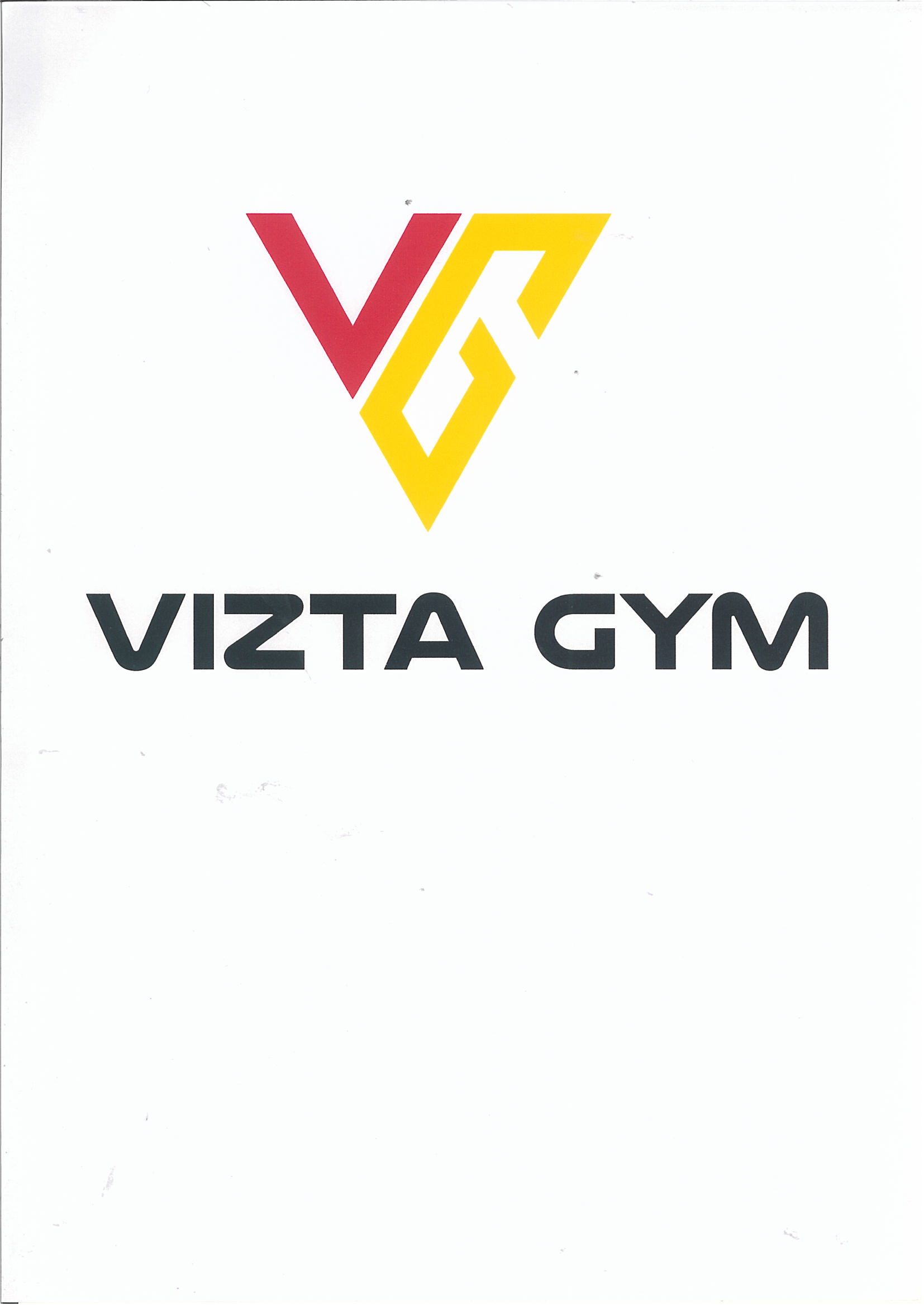 Trademark VIZTA GYM