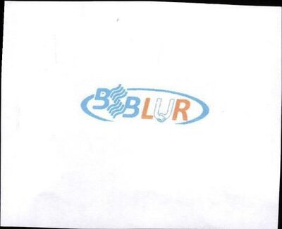 Trademark BSB LUR