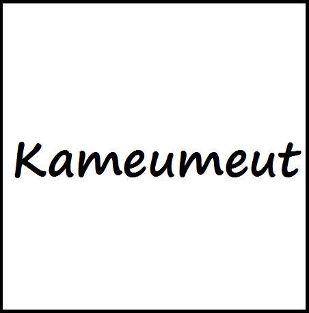 Trademark KAMEUMEUT