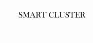 Trademark SMART CLUSTER