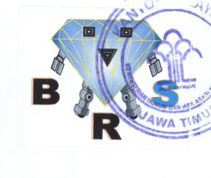 Trademark BRS + LOGO