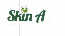 Trademark SKIN A + Logo