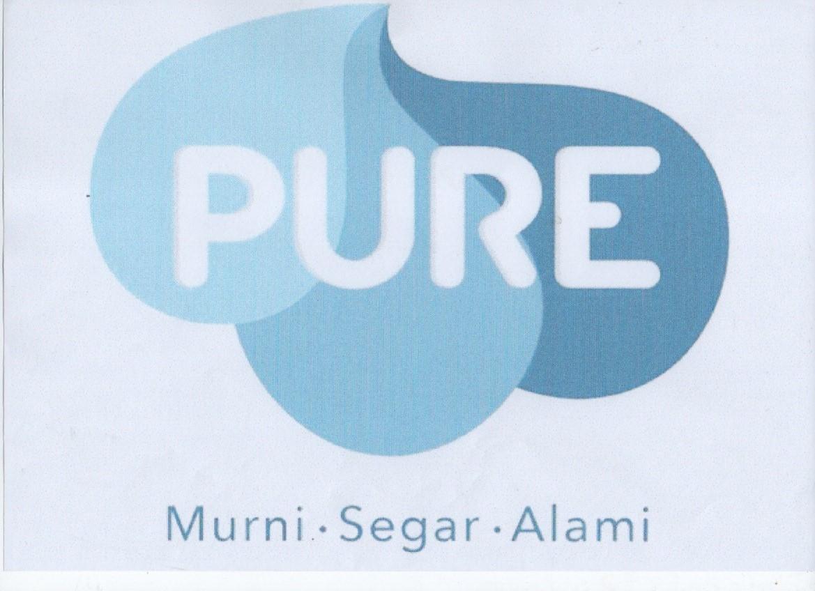 Trademark PURE + Logo