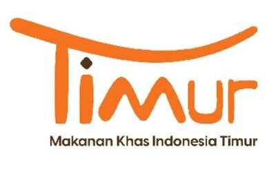 Trademark TIMUR