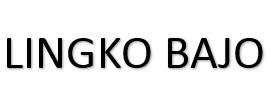 Trademark LINGKO BAJO