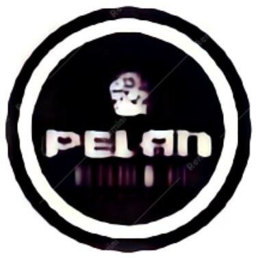 Trademark PELAN DEPOT