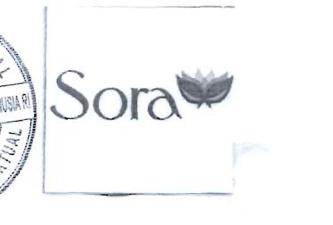 Trademark SORA