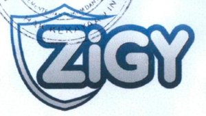 Trademark ZiGY