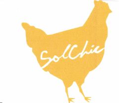 Trademark SOLHIC + LOGO