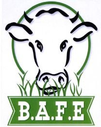 Trademark B.A.F.E + LUKISAN